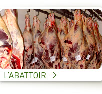 l'abbatoir
