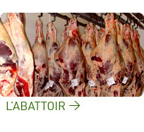 l'abbatoir