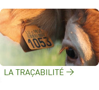 la tra&ccedil;abilit&eacute;